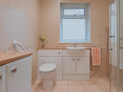 Picture 20